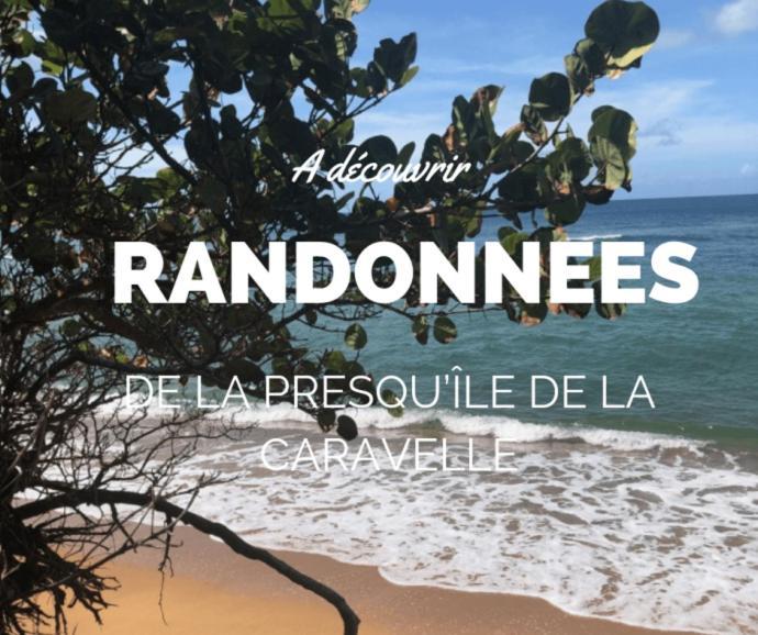 Ananas Premium - Sejour Detente T2 Vue Mer Avec Balcon Prive A Tartane La Trinité Eksteriør billede